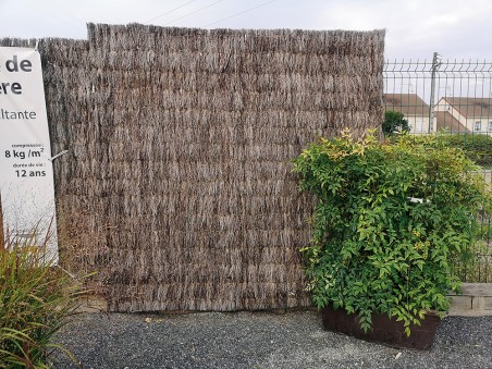 OCCULTATIONS BRANDE 150D8