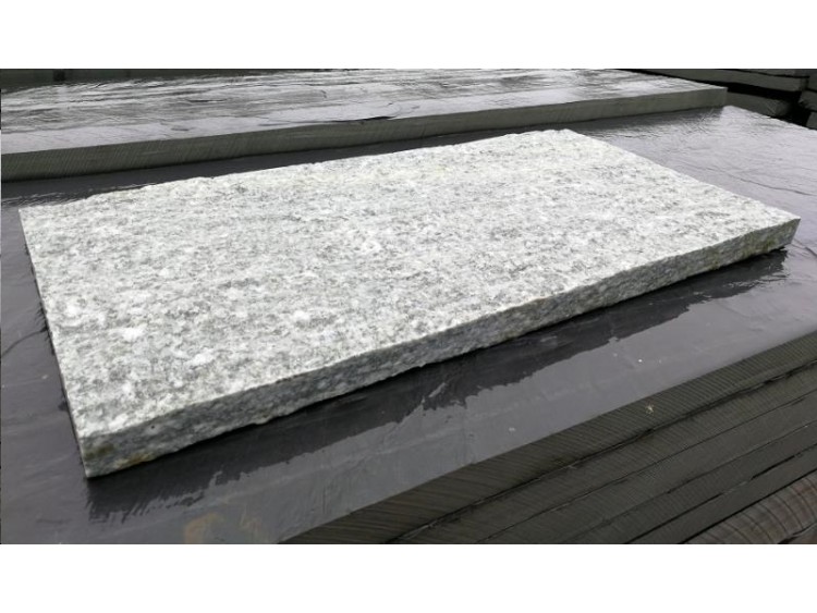 PLAQUE GNEISS