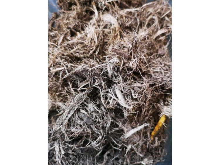 PAILLAGE FIBRE PEUPLIER 70L