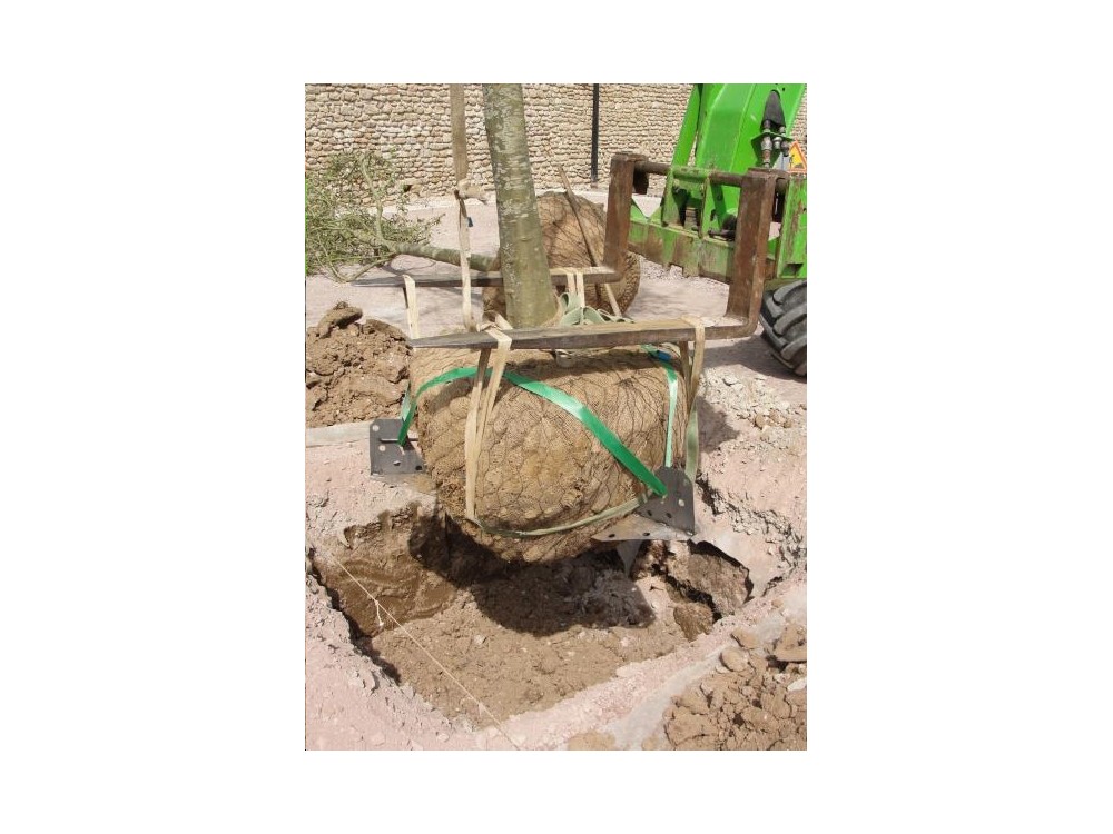 FIXATIONS STABILISATION MOTTE FIXATIONS STABILISATION MOTTE