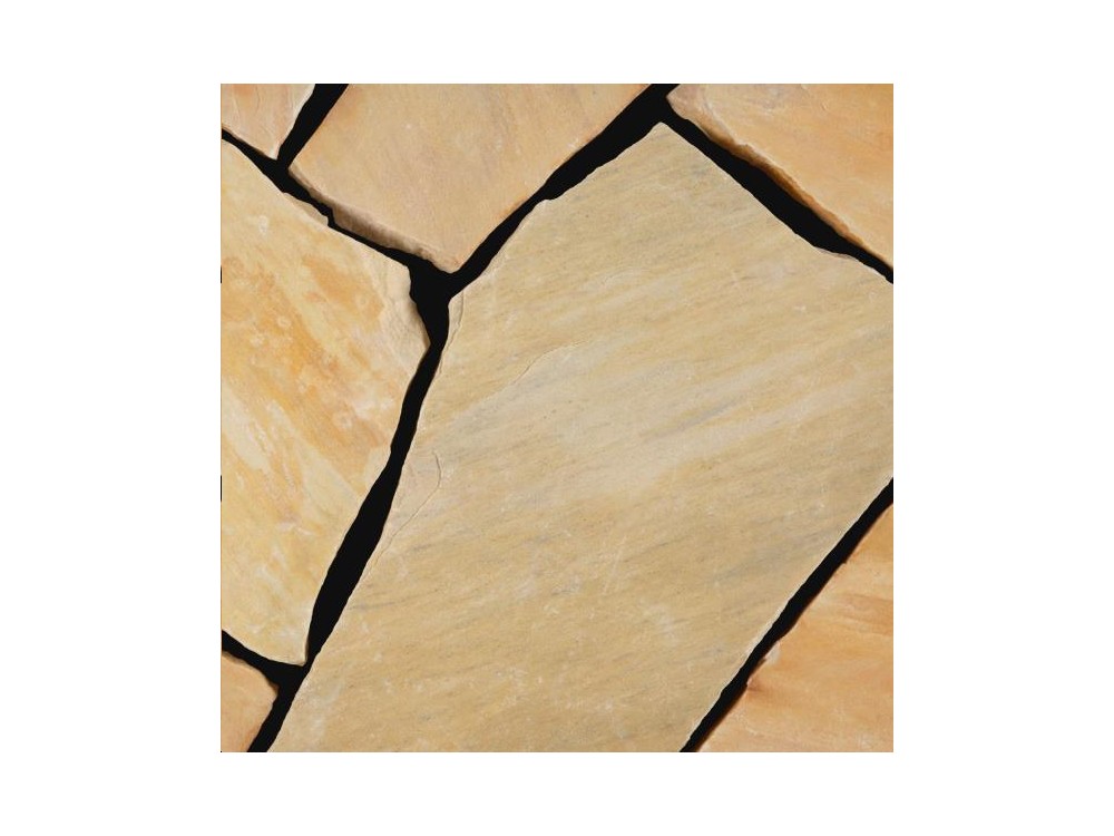 OPUS INCERTUM ALBINO YELLOW OPUS INCERTUM ALBINO YELLOW