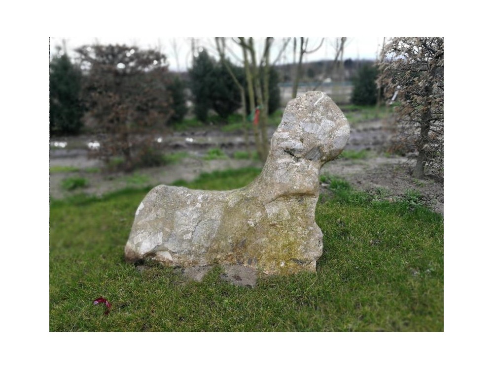 LIFESTONE  M013 LIFESTONE  M013