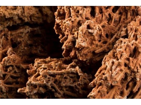 ROCHE SPAGHETTI 10-30 cm VRAC-KG