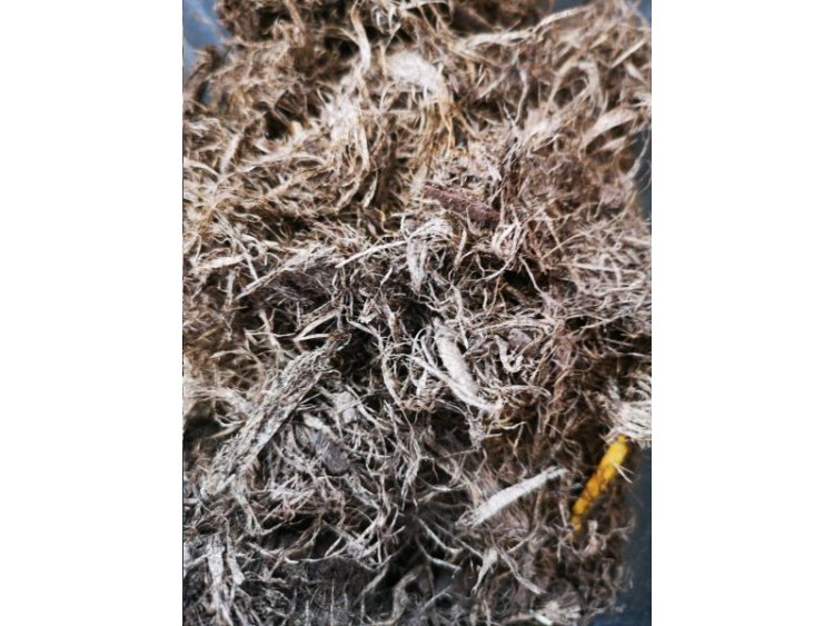 PAILLAGE FIBRE PEUPLIER 70L