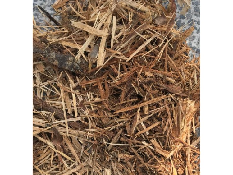 PAILLAGE CHENE FIBRE VRAC