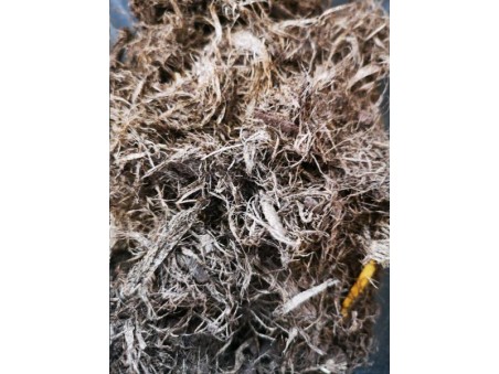 PAILLAGE FIBRE PEUPLIER 70L