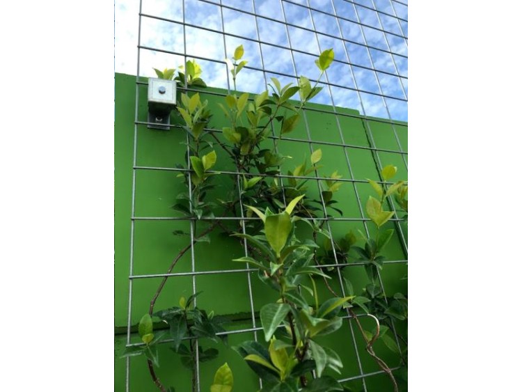 TREILLAGE METALLIQUE 1800x1800mm