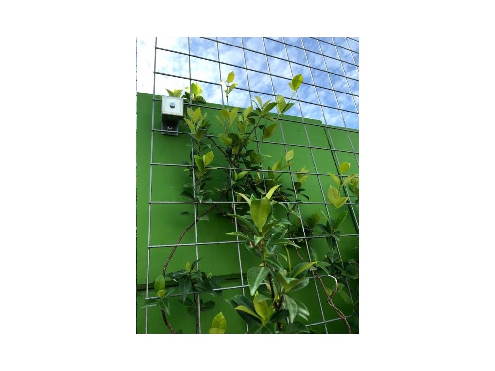 TREILLAGE METALLIQUE 1800x1800mm