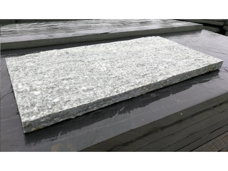 PLAQUE GNEISS