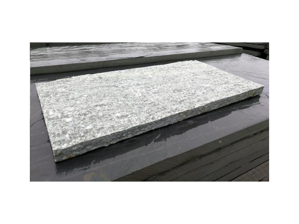 PLAQUE GNEISS